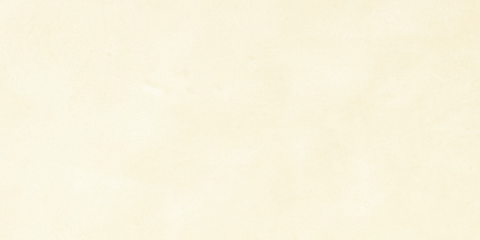 Microcemento TRADICIONAL Microcemento TRADICIONAL